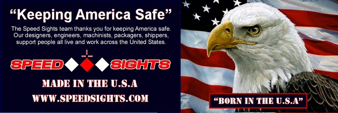 Keeping America Safe Graphic Eagle